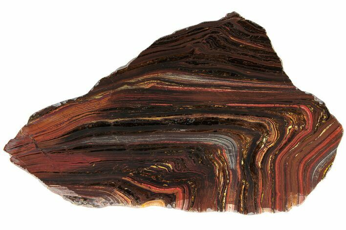 Polished Tiger Iron Stromatolite Slab - Billion Years #185961